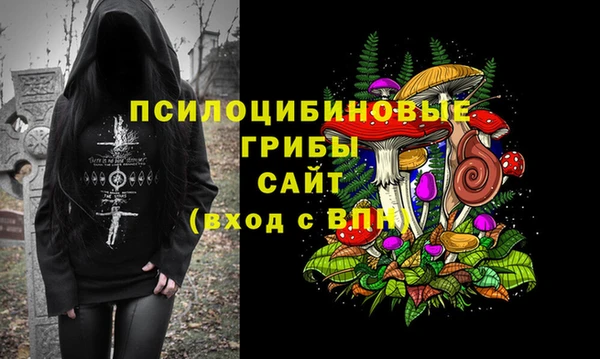 PSILOCYBIN Горняк