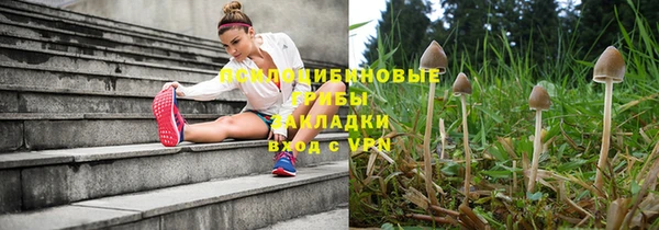 PSILOCYBIN Горняк