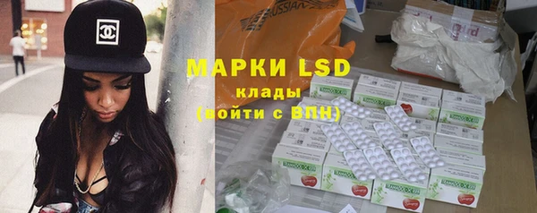 PSILOCYBIN Горняк