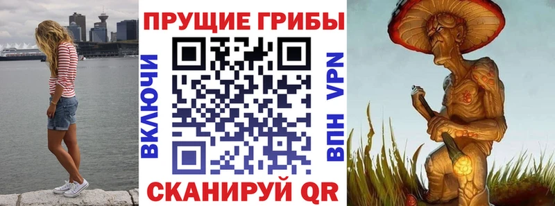 Галлюциногенные грибы ЛСД  Жиздра 